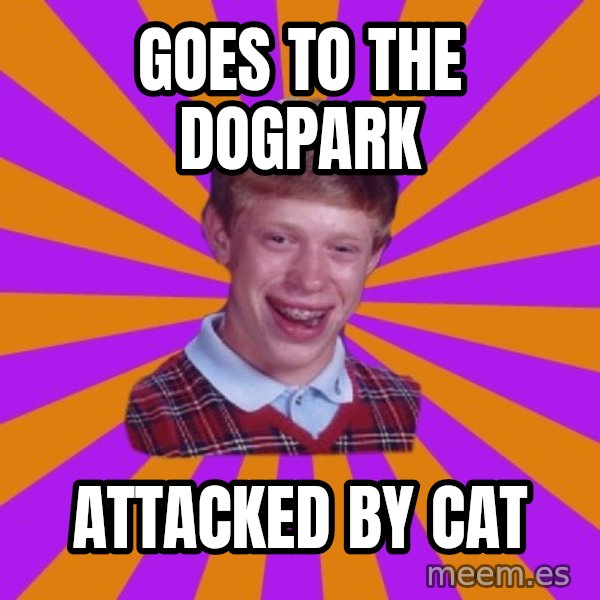 Unlucky Brian Strikes Again meme: Goes to the Dogpark / Attacked by Cat