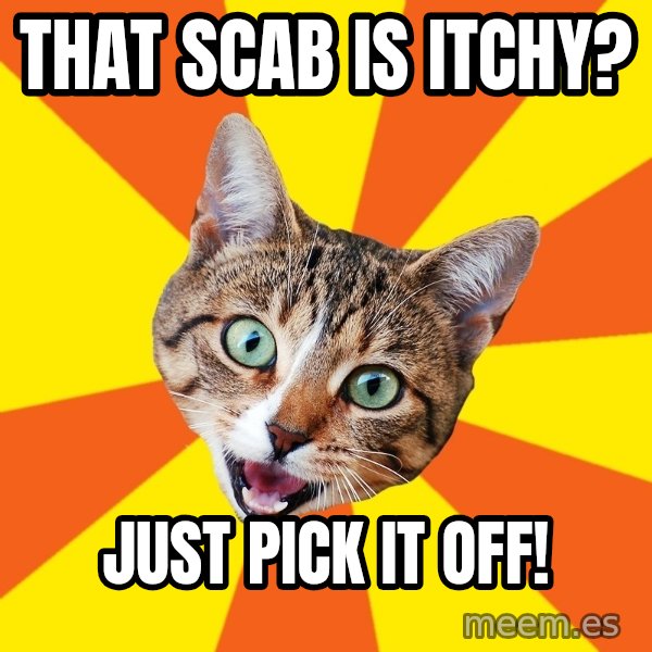 Bad Advice Cat meme: That scab is itchy? / just pick it off!