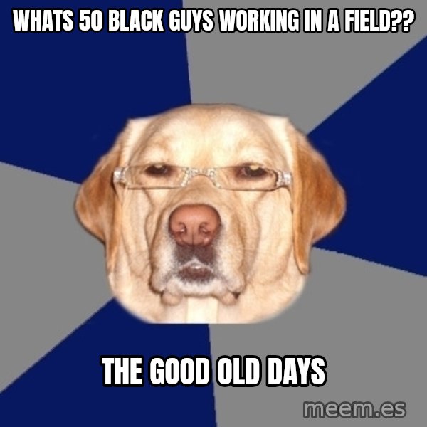 Racist Dawg meme: whats 50 black guys working in a field?? / the good old days