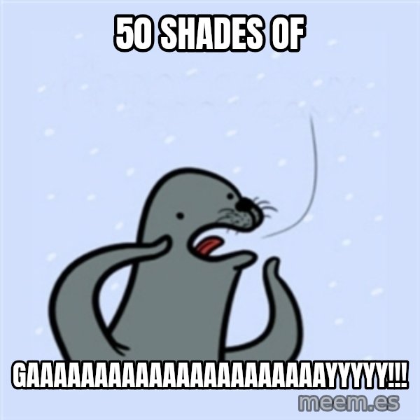 gay seal meme: 50 shades of / gaaaaaaaaaaaaaaaaaaaaaayyyyy!!!