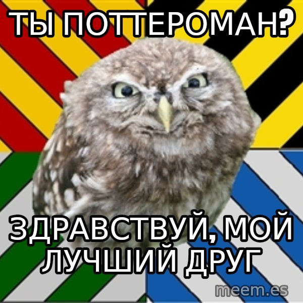 JEALOUS POTTEROMAN meme: Ты поттероман? / Здравствуй, мой лучший друг