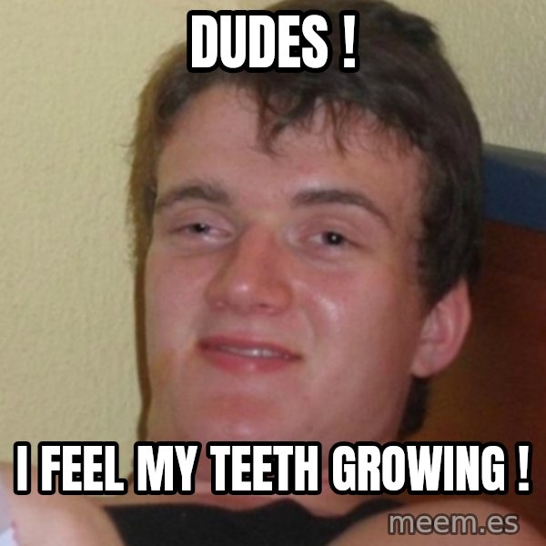Stoner Stanley meme: dudes ! / i feel my teeth growing !