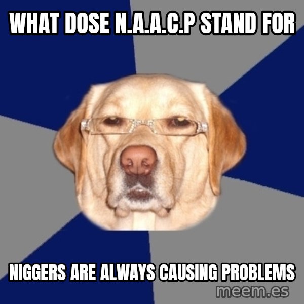 Racist Dawg meme: WHAT DOSE N.A.A.C.P STAND FOR / NIGGERS ARE ALWAYS CAUSING PROBLEMS