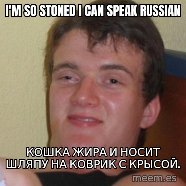 Stoner Stanley meme: I'M SO STONED I CAN SPEAK RUSSIAN / Кошка жира и носит шляпу на коврик с крысой.