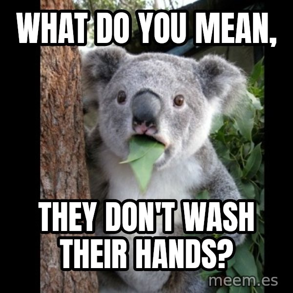 Koala can't believe it meme: what do you mean, / THEY don't wash their hands?
