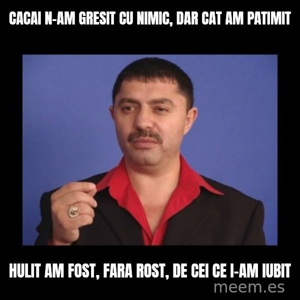Manelistul Nicolae Guta meme: cacai n-am gresit cu nimic, dar cat am patimit / hulit am fost, fara rost, de cei ce i-am iubit