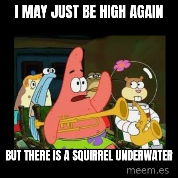 Patrick Star Instrument meme: I may just be high again / but there is a SQUIRREL underwater