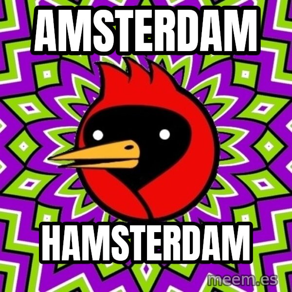 Omsk Crow meme: Amsterdam / Hamsterdam