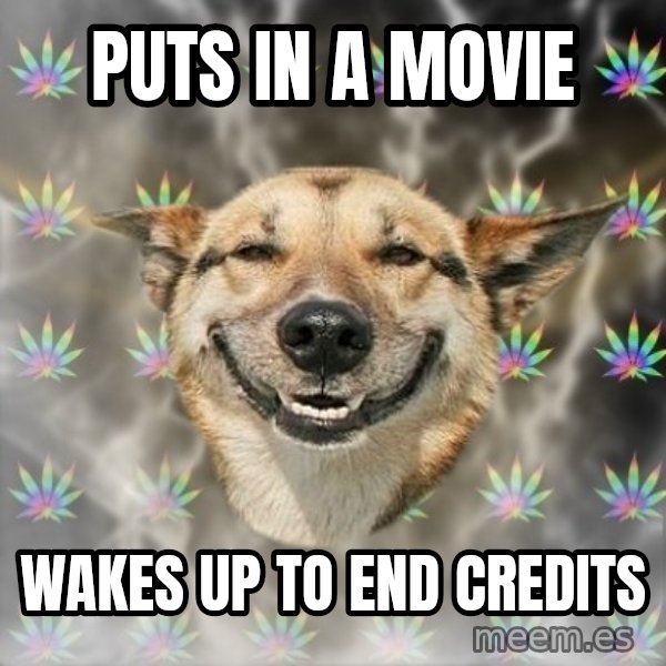 Stoner Dog meme: puts in a movie / wakes up to end credits