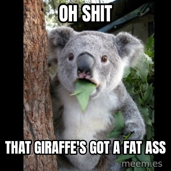 Koala can't believe it meme: oh shit / that giraffe's got a fat ass