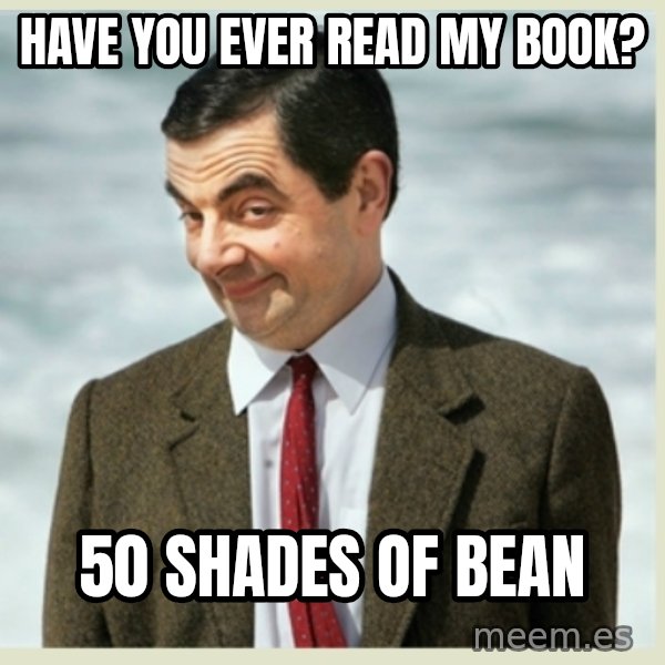MR bean meme: have you ever read my book? / 50 shades of bean