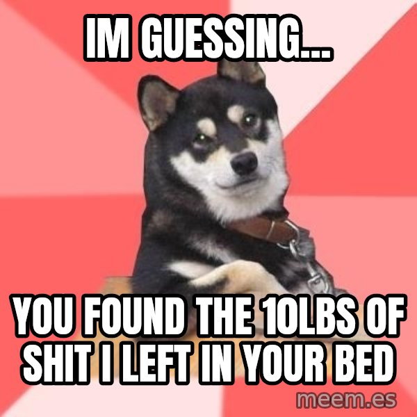 Cool Dog meme: im guessing... / you found the 10lbs of shit i left in your bed