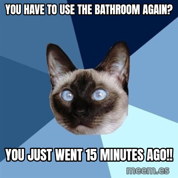 Chronic Illness Cat meme: You have to use the bathroom again? / You just went 15 minutes ago!!
