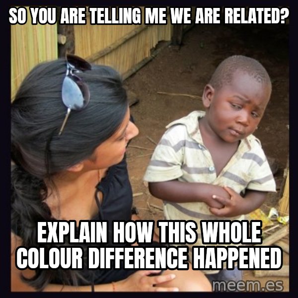 Skeptical third-world kid meme: SO YOU ARE TELLING ME WE ARE RELATED? / EXPLAIN HOW THIS WHOLE COLOUR DIFFERENCE HAPPENED