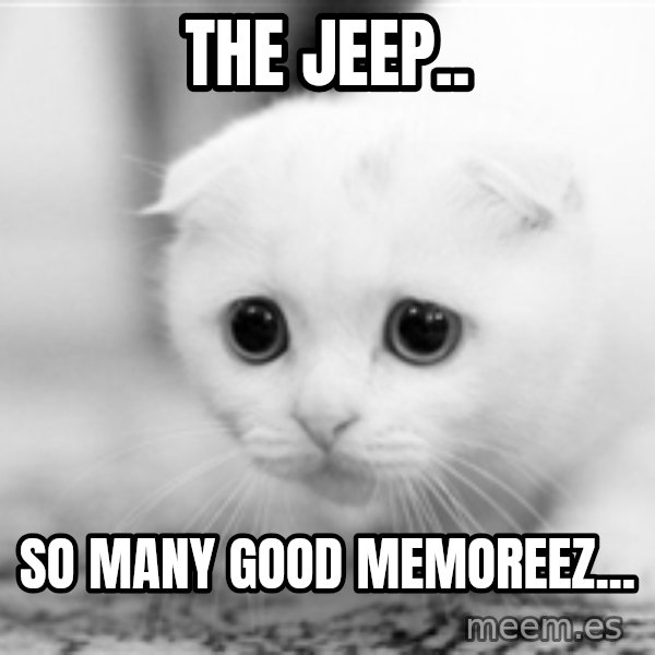 Sadcat meme: the jeep.. / so many good memoreez...