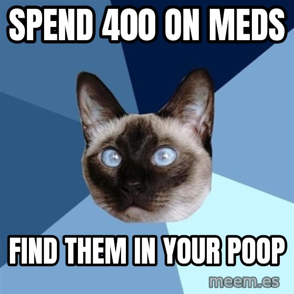 Chronic Illness Cat meme: Spend 400 on meds / find them in your poop