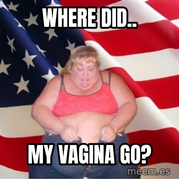 Asinine America meme: where did.. / my vagina go?