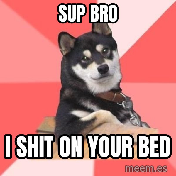 Cool Dog meme: sup bro / i shit on your bed