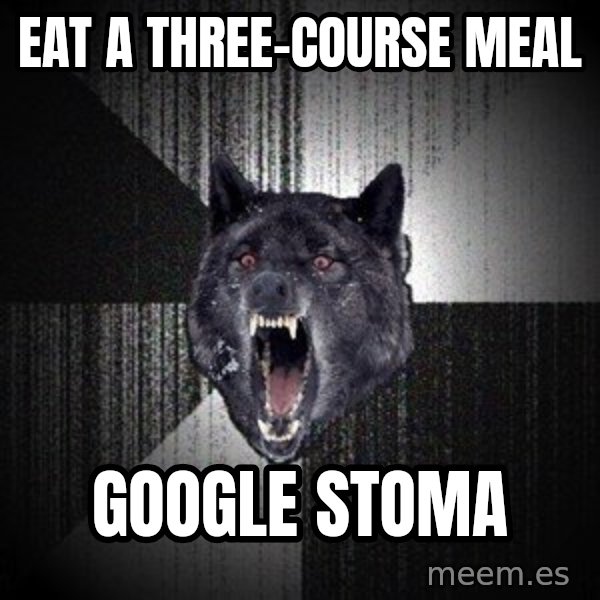 Insanity Wolf meme: eat a three-course meal / google stoma