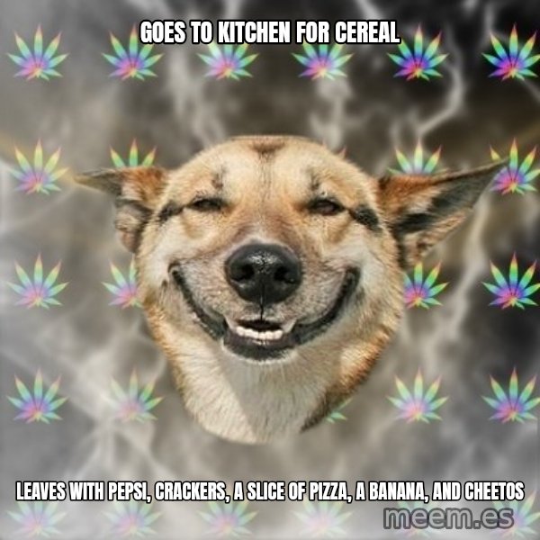 Stoner Dog meme: goes to kitchen for cereal / leaves with pepsi, crackers, a slice of pizza, a banana, and cheetos