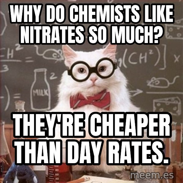 Science Cat meme: Why do chemists like nitrates so much? / they're cheaper than day rates.