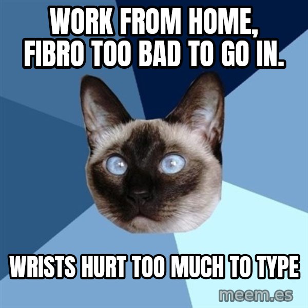 Chronic Illness Cat meme: work from home, fibro too bad to go in. / wrists hurt too much to type