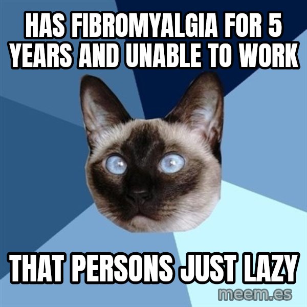 Chronic Illness Cat meme: Has fibromyalgia for 5 years and unable to work / that persons just lazy