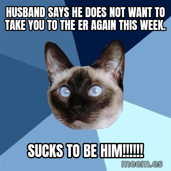 Chronic Illness Cat meme: Husband says he does not want to take you to the ER again this week. / Sucks to be him!!!!!!