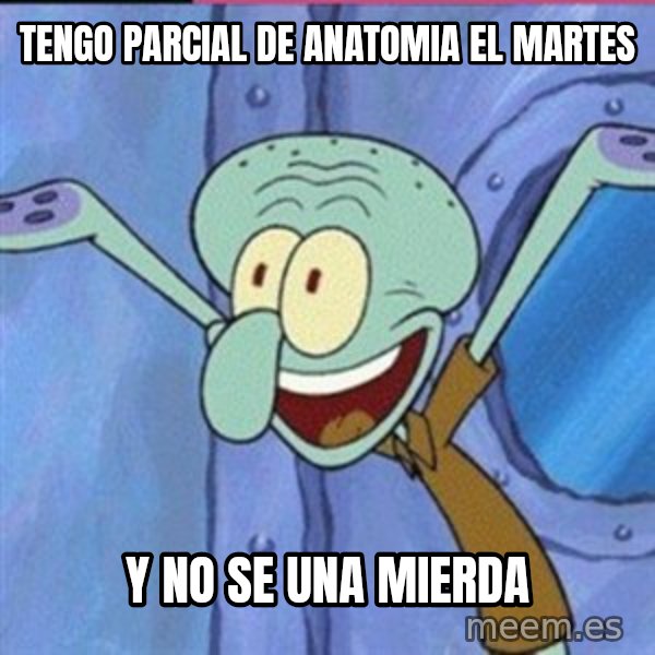 calamardo me vale meme: tengo parcial de anatomia el martes / y no se  una mierda