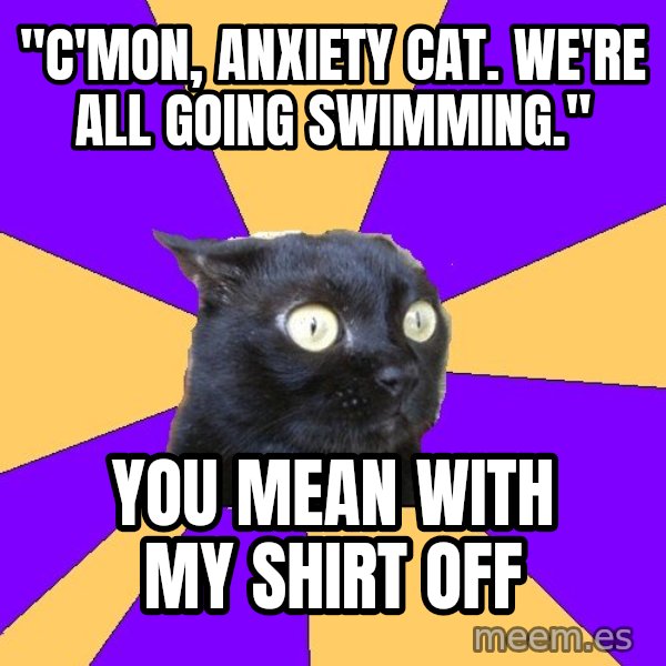 Anxiety Cat meme: "c'mon, anxiety cat.  we're all going swimming." / you mean with my shirt off