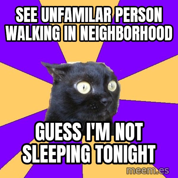 Anxiety Cat meme: See unfamilar person walking in neighborhood / Guess I'm not sleeping tonight
