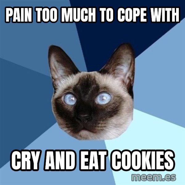 Chronic Illness Cat meme: PAIN TOO much to cope with / cry and eat cookies