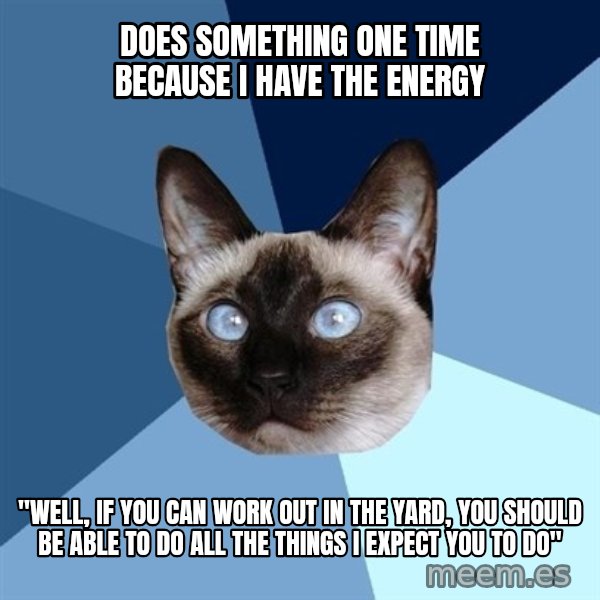 Chronic Illness Cat meme: does something one time because i have the energy / "well, if you can work out in the yard, you should be able to do all the things I expect you to do"
