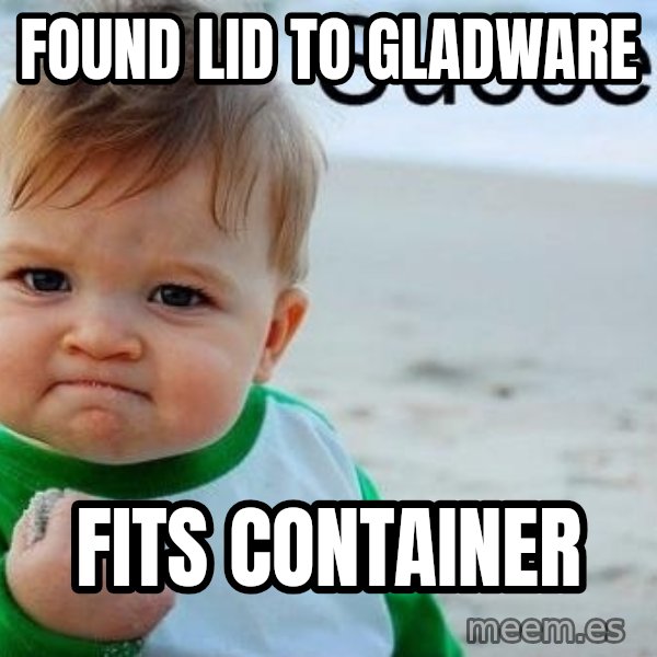 Success Kid meme: found lid to gladware / fits container