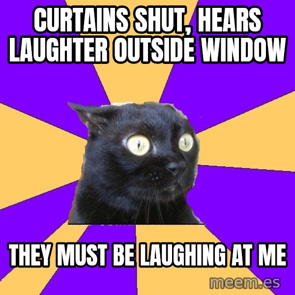 Anxiety Cat meme: CURTAINS SHUT, HEARS LAUGHTER OUTSIDE WINDOW / THEY MUST BE LAUGHING AT ME
