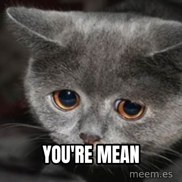 Sadcat meme: YOU'RE MEAN