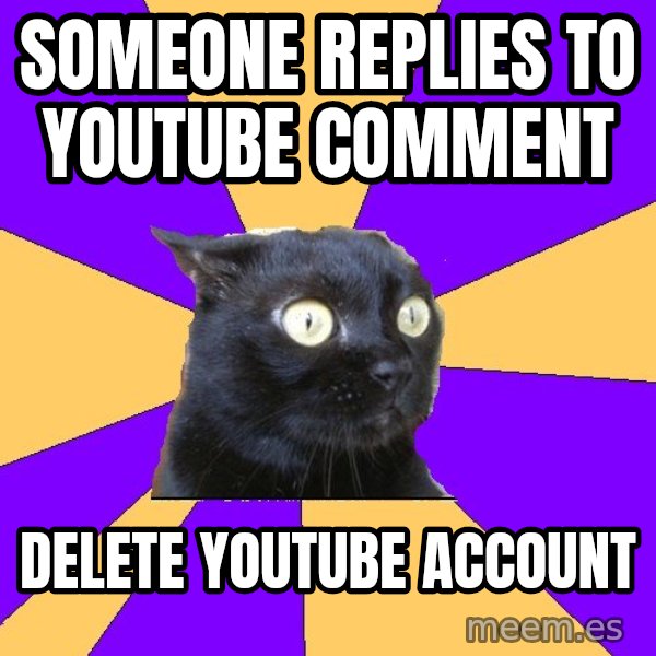 Anxiety Cat meme: someone replies to youtube comment / delete youtube account