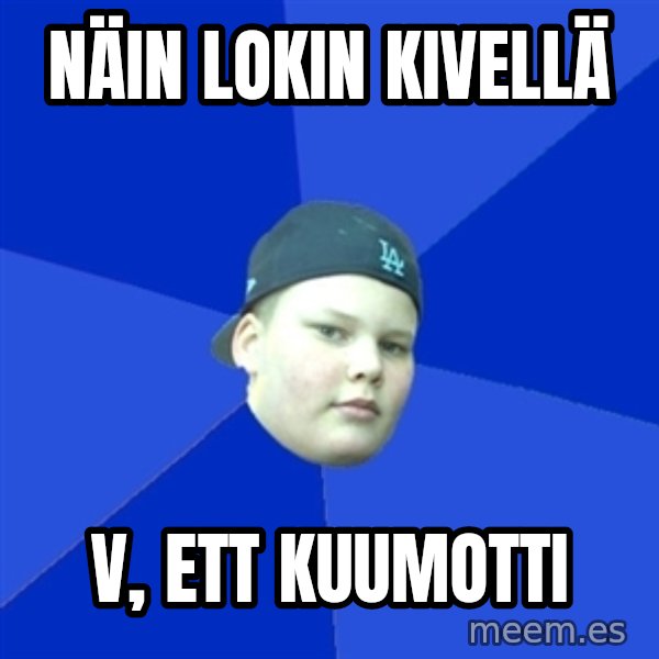 Jonnen Neuvo meme: näin     lokin    kivellä / V,   ett    kuumotti