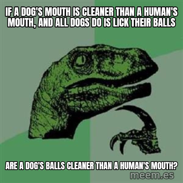 Philosoraptor meme: If a dog's mouth is cleaner than a human's mouth, and all dogs do is lick their balls / are a dog's balls cleaner than a human's mouth?