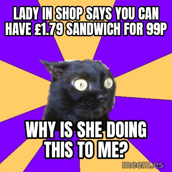 Anxiety Cat meme: Lady in shop says you can have £1.79 sandwich for 99p / Why is she doing this to me?