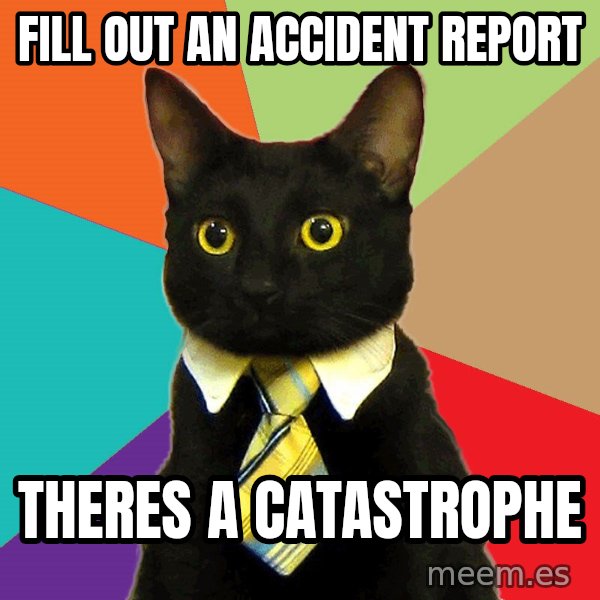 Business Cat meme: fill out an accident report / theres a catastrophe