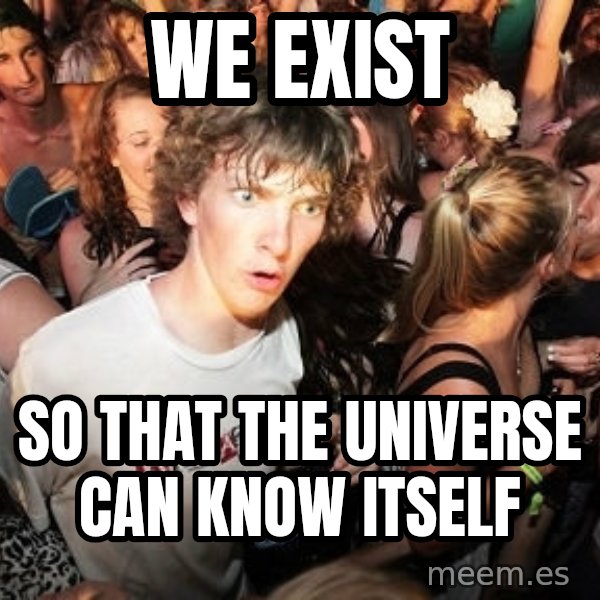 Sudden Realization Ralph meme: we exist / so that the universe can know itself