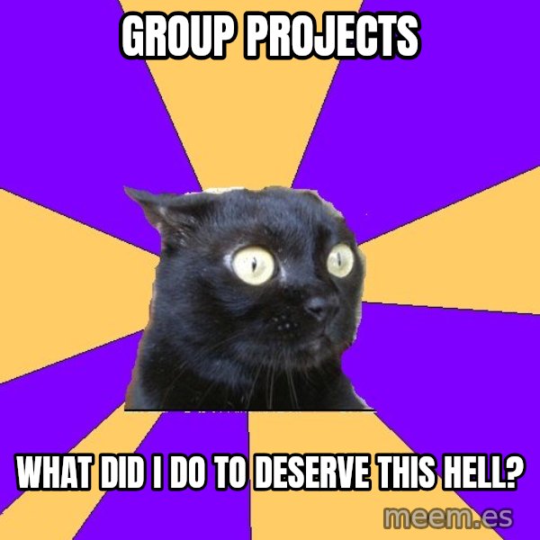 Anxiety Cat meme: Group projects / what did i do to deserve this hell?