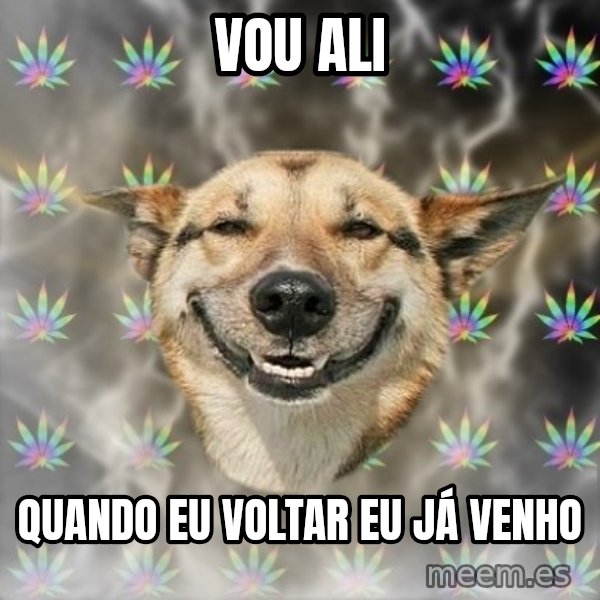 Stoner Dog meme: vou ali / quando eu voltar eu já venho