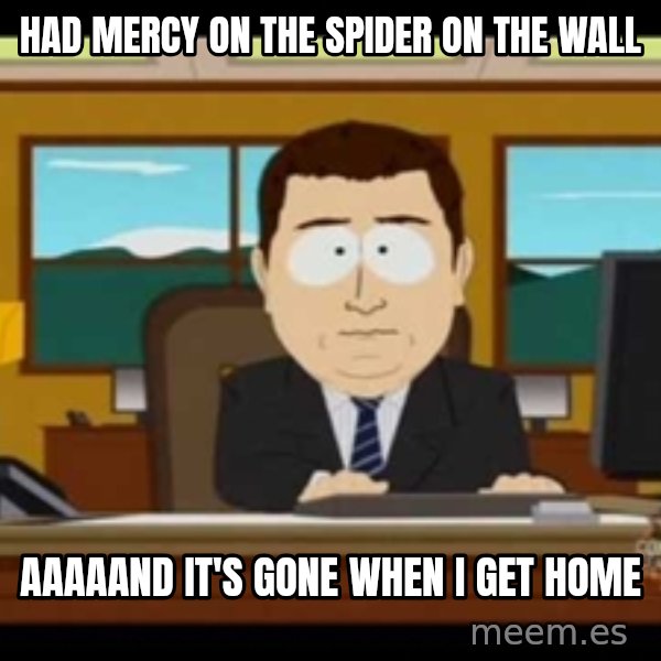 Aand Its Gone meme: Had Mercy on the spider on the wall / AAAAand It's gone when i get home