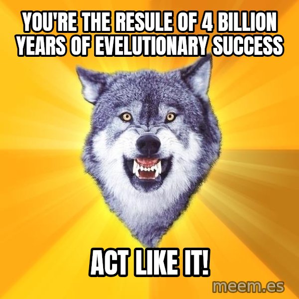 Courage Wolf meme: You're the resule of 4 billion years of evelutionary success / Act like it!