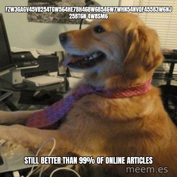 I have no idea what I'm doing - Dog with Tie meme: fzw3gagv45vb254tgw564he7bh46bw6b546w7whn54nvqf455b3w6nj 25bt6n 4w8sm6 / Still better than 99% of online articles