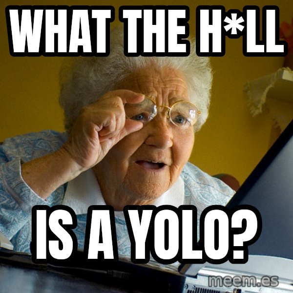 Internet Grandma Surprise meme: what the h*ll / is a yolo?