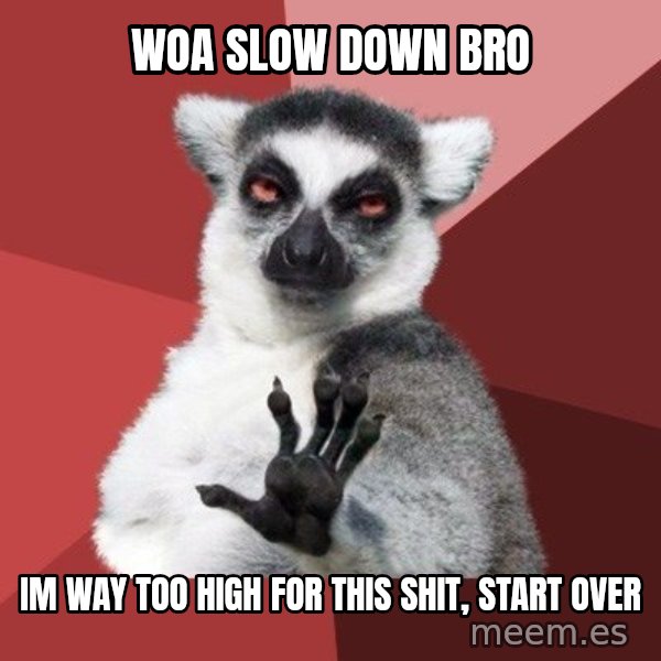 Chill Out Lemur meme: woa slow down bro / im way too high for this shit, start over
