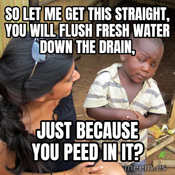 Skeptical 3rd World Kid meme: So Let me get this straight, you will flush fresh water down the drain, / just because you peed in it?
